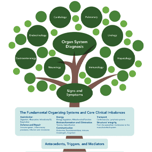A women showing data on laptop